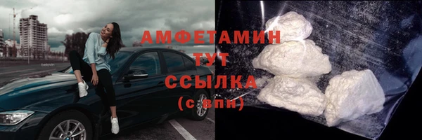 стаф Вязьма
