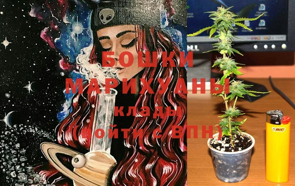 стаф Вяземский