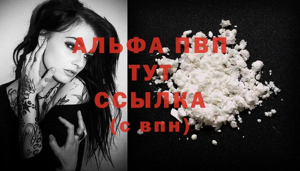 стаф Вяземский