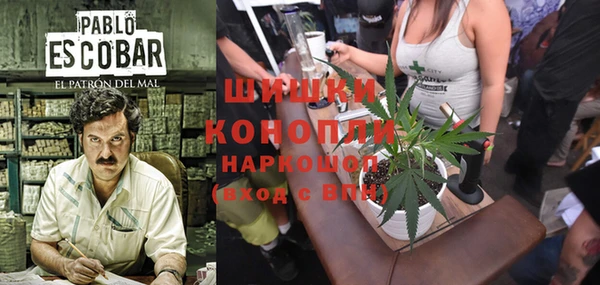 дживик Сосновый Бор