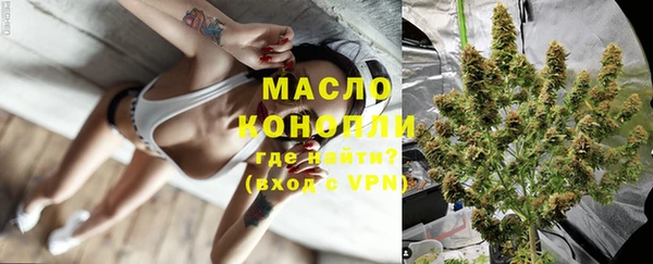 стаф Вяземский